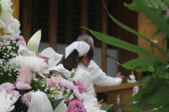 649356584_26929949719962567_1610149164577623712_n