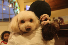 650589754_26923194120638127_2694208148416576922_n