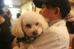 651151389_26923197270637812_9210194357554199982_n