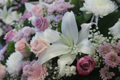 651753598_26930153766608829_8925266111995671946_n