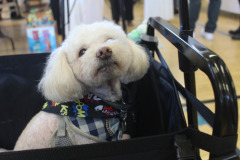 652276129_26930161819941357_7705368546366850527_n